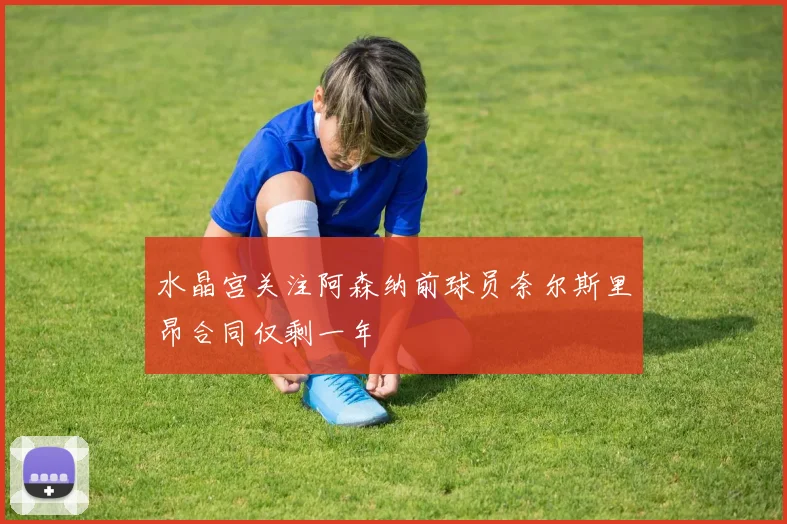 水晶宫关注阿森纳前球员奈尔斯里昂合同仅剩一年