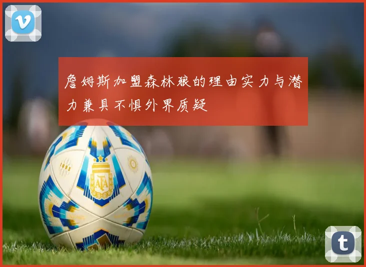 詹姆斯加盟森林狼的理由实力与潜力兼具不惧外界质疑